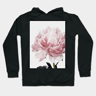 Flowers print, Scandinavian, Peony, Fashion print, Scandinavian art, Modern art, Wall art, Print, Minimalistic, Modern Hoodie